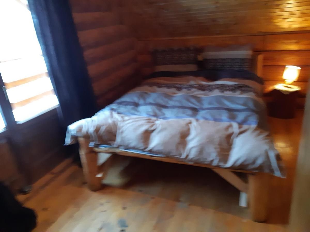 Шале Musketeers Cabin Порумбаку-де-Сус-23